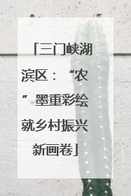 三门峡湖滨区：“农”墨重彩绘就乡村振兴新画卷
