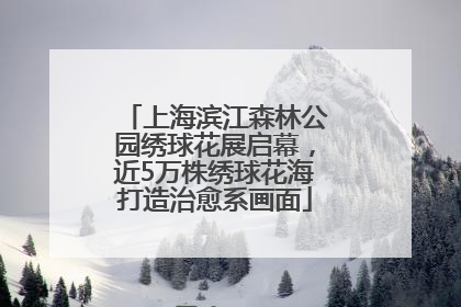 上海滨江森林公园绣球花展启幕，近5万株绣球花海打造治愈系画面