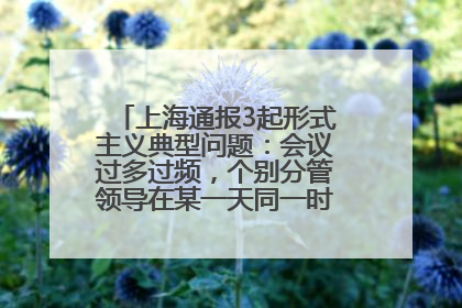 上海通报3起形式主义典型问题：会议过多过频，个别分管领导在某一天同一时段需参加3个会议