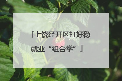 上饶经开区打好稳就业“组合拳”