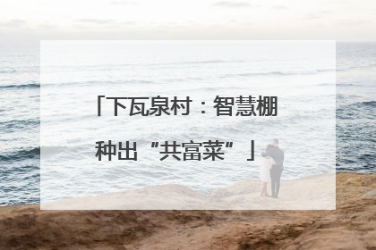 下瓦泉村：智慧棚种出“共富菜”