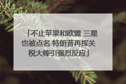 不止苹果和欧盟 三星也被点名 特朗普再挥关税大棒引强烈反应