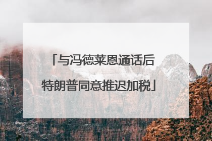 与冯德莱恩通话后 特朗普同意推迟加税