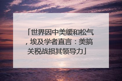 世界因中美缓和松气，埃及学者直言：美搞关税战损其领导力