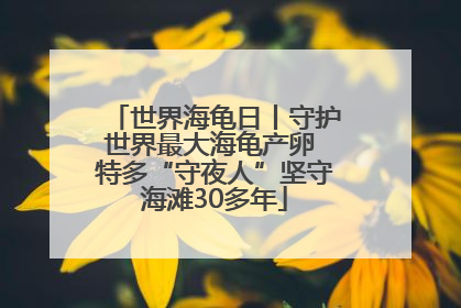 世界海龟日丨守护世界最大海龟产卵 特多“守夜人”坚守海滩30多年