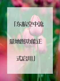 东航空中流量地图功能正式启用
