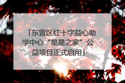 东营区红十字益心助学中心“星星之家”公益项目正式启用