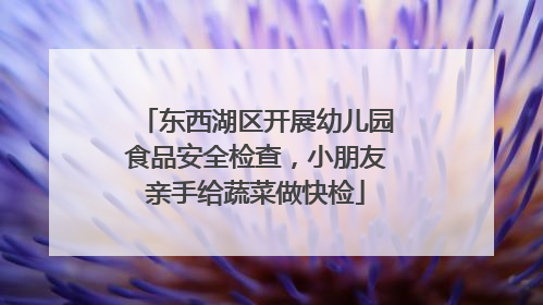 东西湖区开展幼儿园食品安全检查，小朋友亲手给蔬菜做快检