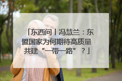 东西问丨冯慧兰：东盟国家为何期待高质量共建“一带一路”？