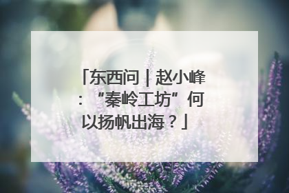 东西问｜赵小峰：“秦岭工坊”何以扬帆出海？