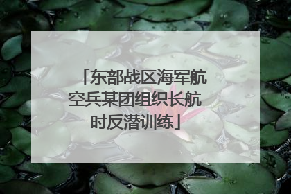 东部战区海军航空兵某团组织长航时反潜训练