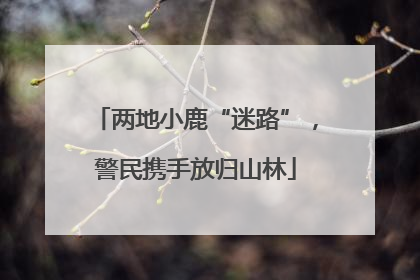 两地小鹿“迷路”，警民携手放归山林