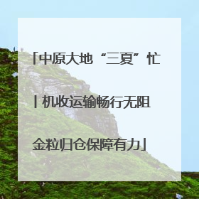 中原大地“三夏”忙丨机收运输畅行无阻 金粒归仓保障有力