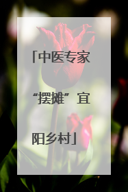 中医专家“摆摊”宜阳乡村
