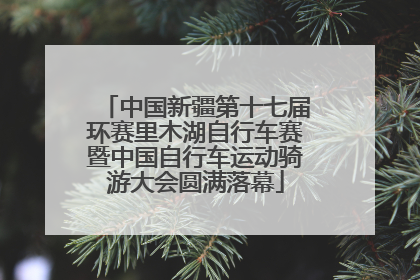 中国新疆第十七届环赛里木湖自行车赛暨中国自行车运动骑游大会圆满落幕