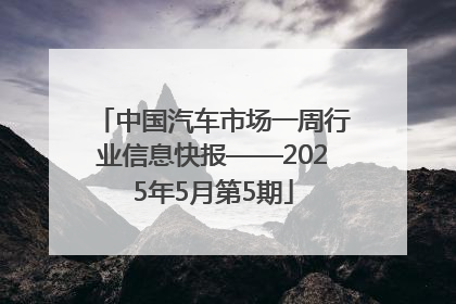 中国汽车市场一周行业信息快报——2025年5月第5期