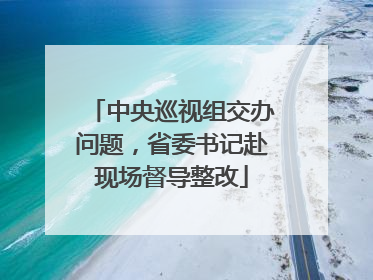 中央巡视组交办问题，省委书记赴现场督导整改