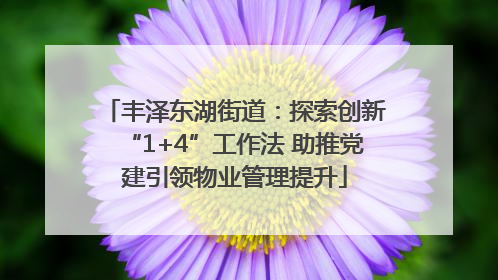 丰泽东湖街道：探索创新“1+4”工作法 助推党建引领物业管理提升