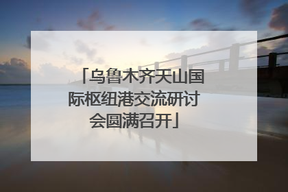 乌鲁木齐天山国际枢纽港交流研讨会圆满召开