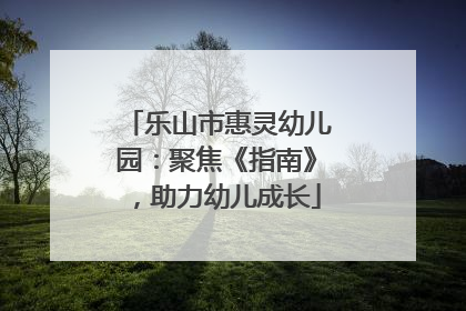乐山市惠灵幼儿园：聚焦《指南》，助力幼儿成长