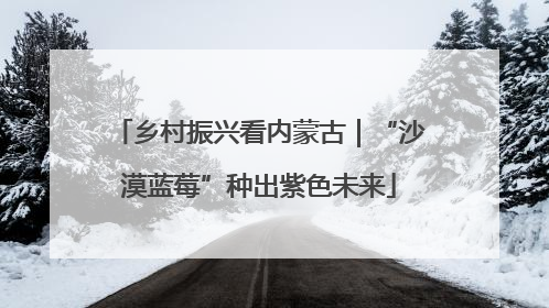 乡村振兴看内蒙古｜“沙漠蓝莓”种出紫色未来