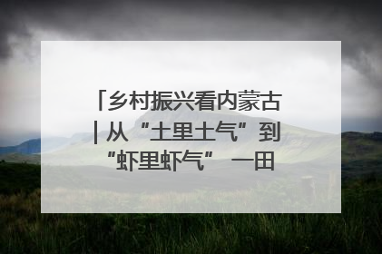 乡村振兴看内蒙古｜从“土里土气”到“虾里虾气” 一田双收模式火出圈
