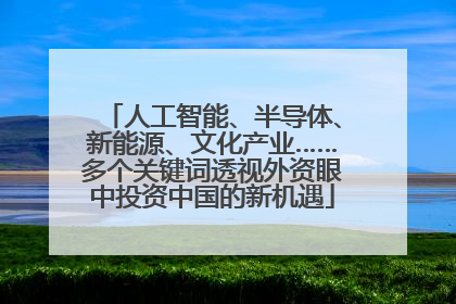 人工智能、半导体、新能源、文化产业……多个关键词透视外资眼中投资中国的新机遇