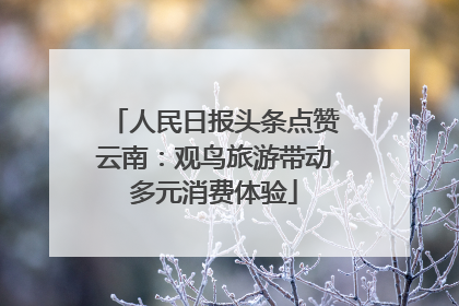 人民日报头条点赞云南：观鸟旅游带动多元消费体验