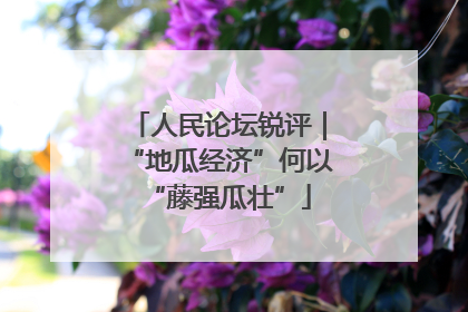 人民论坛锐评｜“地瓜经济”何以“藤强瓜壮”