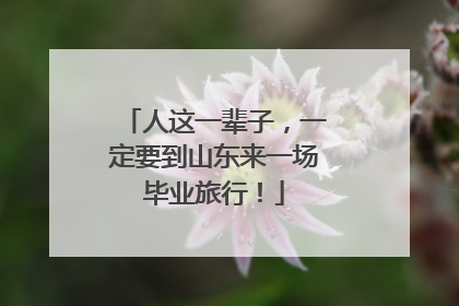 人这一辈子，一定要到山东来一场毕业旅行！