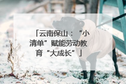 云南保山：“小清单”赋能劳动教育“大成长”