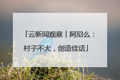 云新闻观察︱阿尼么：村子不大，创造佳话