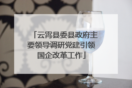 云霄县委县政府主要领导调研党建引领国企改革工作