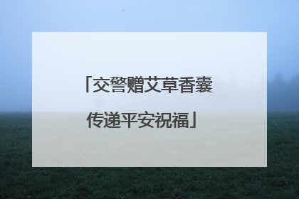 交警赠艾草香囊 传递平安祝福