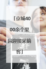 京城4000余个果园迎接采摘客