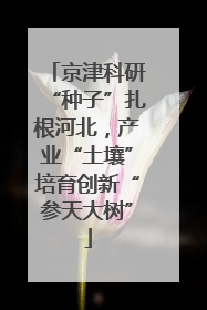 京津科研“种子”扎根河北，产业“土壤”培育创新“参天大树”