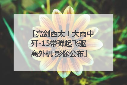 亮剑西太！大雨中歼-15带弹起飞驱离外机 影像公布