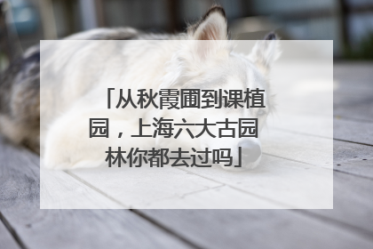 从秋霞圃到课植园，上海六大古园林你都去过吗