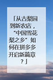从古梨园到新农店，“中国雪花梨之乡”如何在拼多多开启新篇章？