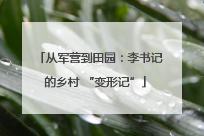 从军营到田园：李书记的乡村 “变形记”
