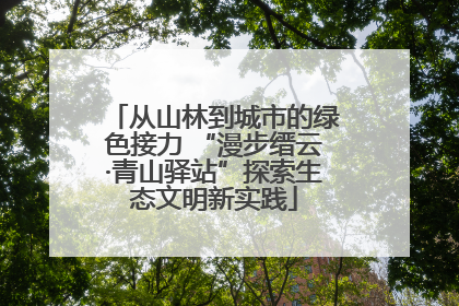 从山林到城市的绿色接力 “漫步缙云·青山驿站”探索生态文明新实践