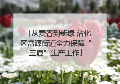 从麦香到新绿 沾化区富源街道全力保障“三夏”生产工作