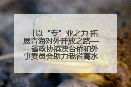 以“专”业之力 拓展青海对外开放之路——省政协港澳台侨和外事委员会助力我省高水平开放和高质量发展