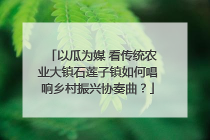以瓜为媒 看传统农业大镇石莲子镇如何唱响乡村振兴协奏曲？
