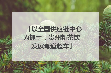 以全国供应链中心为抓手，贵州新茶饮发展弯道超车