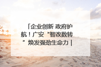 企业创新 政府护航！广安“智改数转”焕发强劲生命力｜市州焕新力