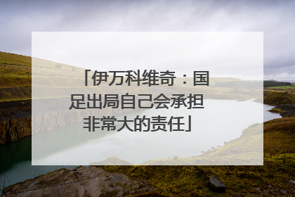 伊万科维奇：国足出局自己会承担非常大的责任