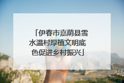 伊春市嘉荫县雪水温村厚植文明底色促进乡村振兴