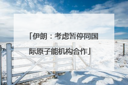 伊朗：考虑暂停同国际原子能机构合作