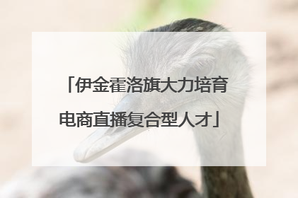 伊金霍洛旗大力培育电商直播复合型人才